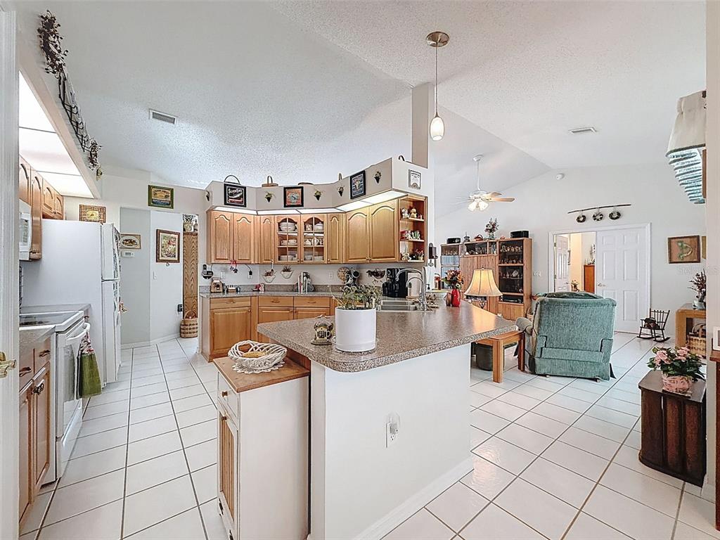 4221 Neff Lake Road Brooksville, FL 34602 - Photo 12 of 86