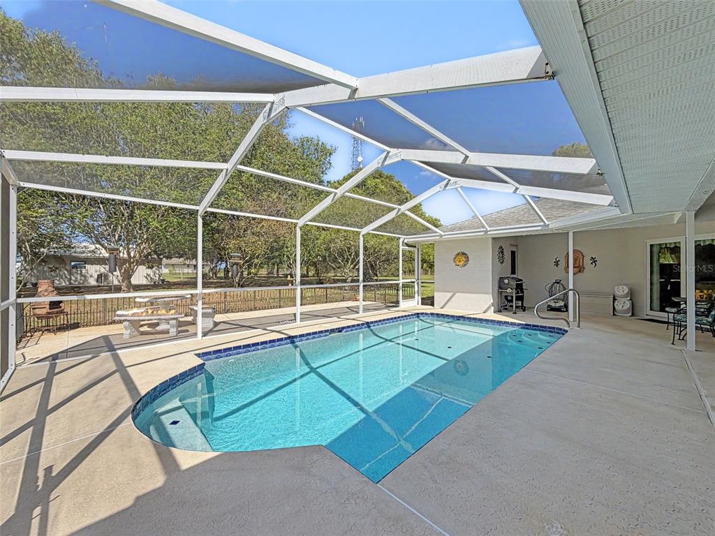 4221 Neff Lake Road Brooksville, FL 34602 - Photo 46 of 86