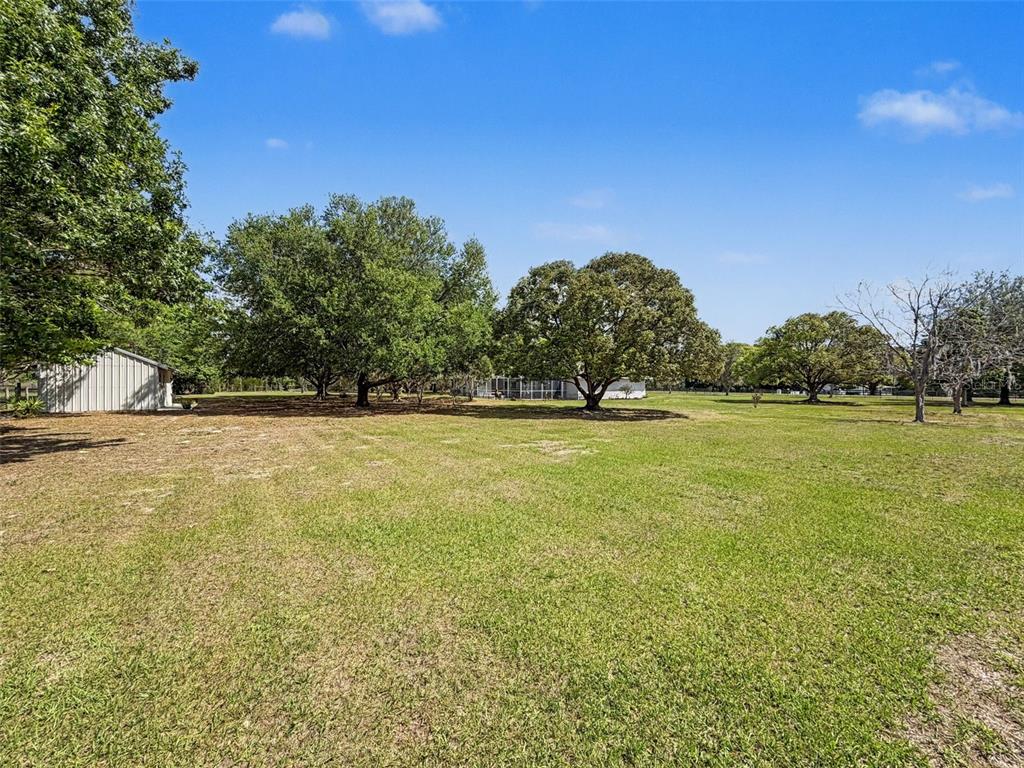 4221 Neff Lake Road Brooksville, FL 34602 - Photo 68 of 86