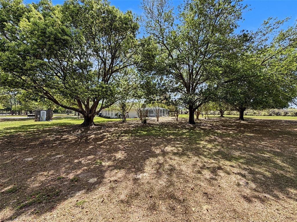 4221 Neff Lake Road Brooksville, FL 34602 - Photo 69 of 86