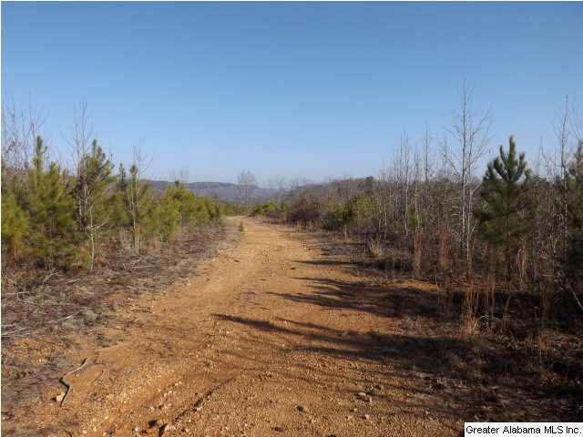286 County Road, Unit 85 Collinsville, AL 35961 - Photo 17 of 23