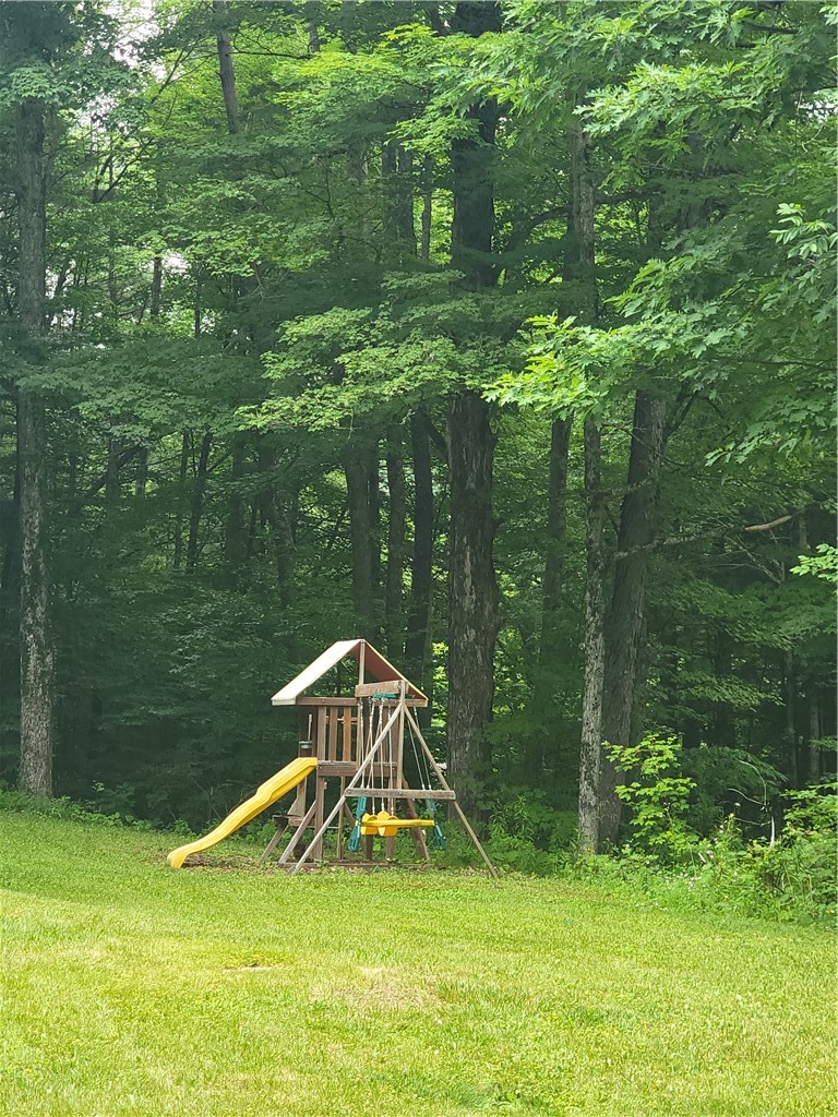 114 Bunt Road Greene, NY 13778 - Photo 39 of 43