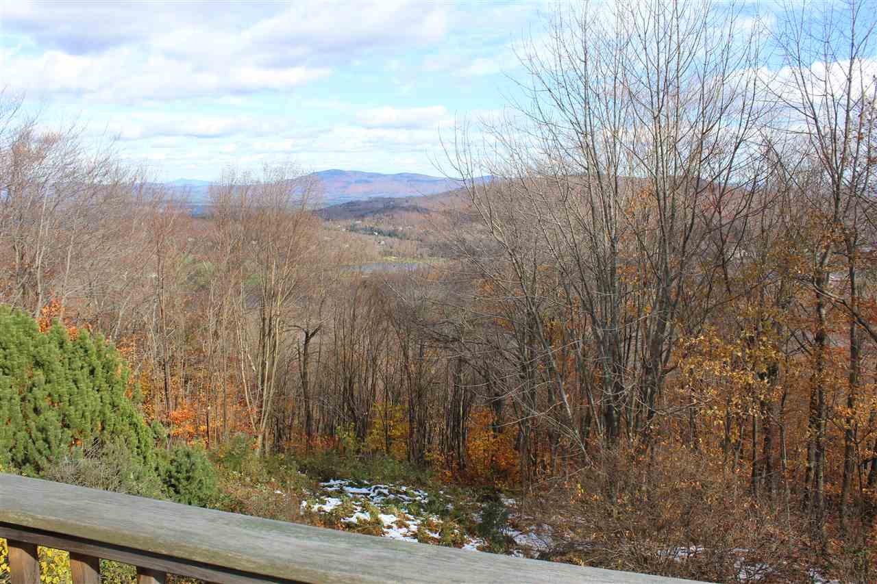 182 North Brookwood Road Stratton, VT 05340 - Photo 3 of 40