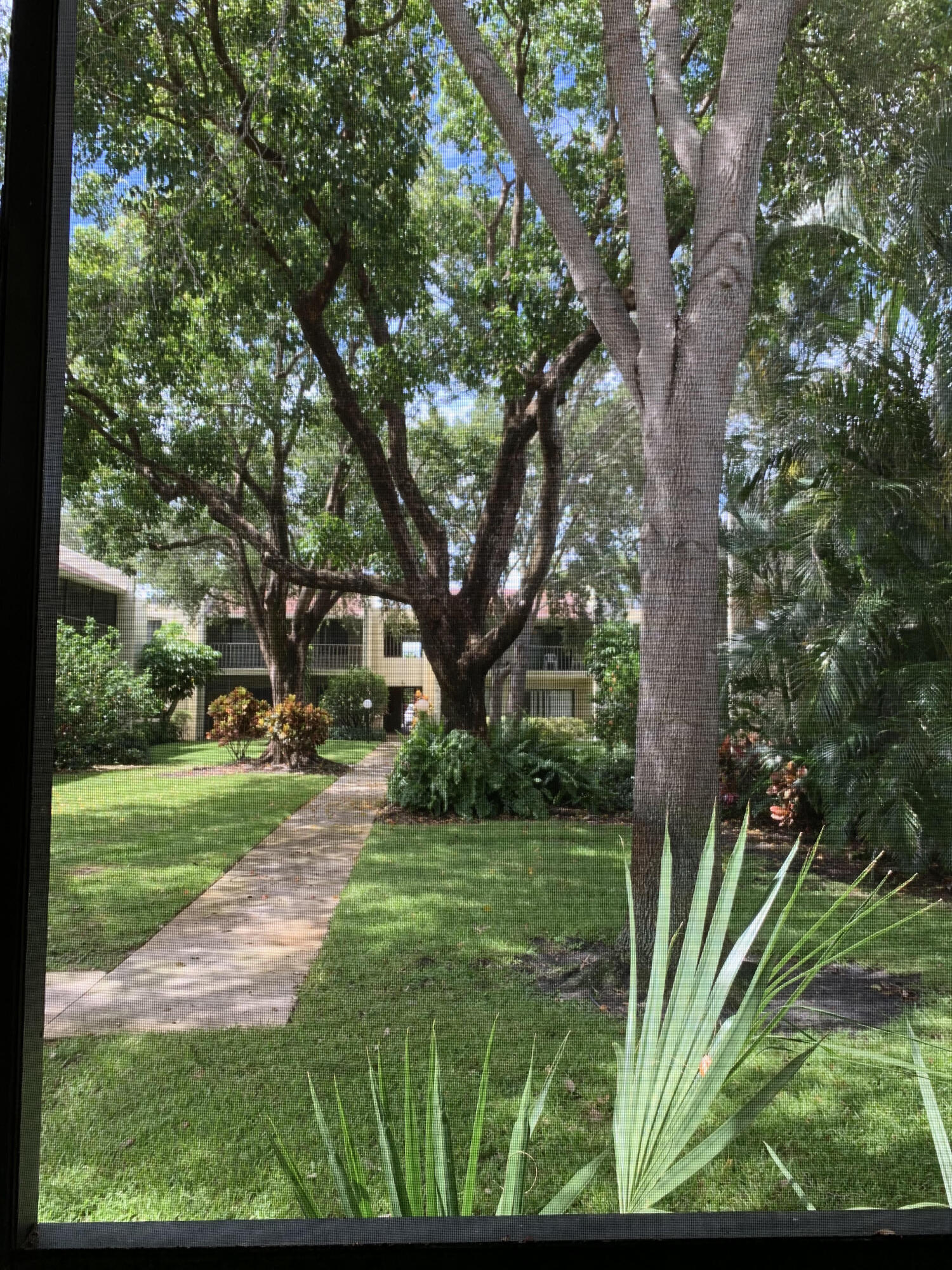 150 Pineview Road, Unit I4 Jupiter, FL 33469 - Photo 29 of 35 a view of a yard with plants and a large tree