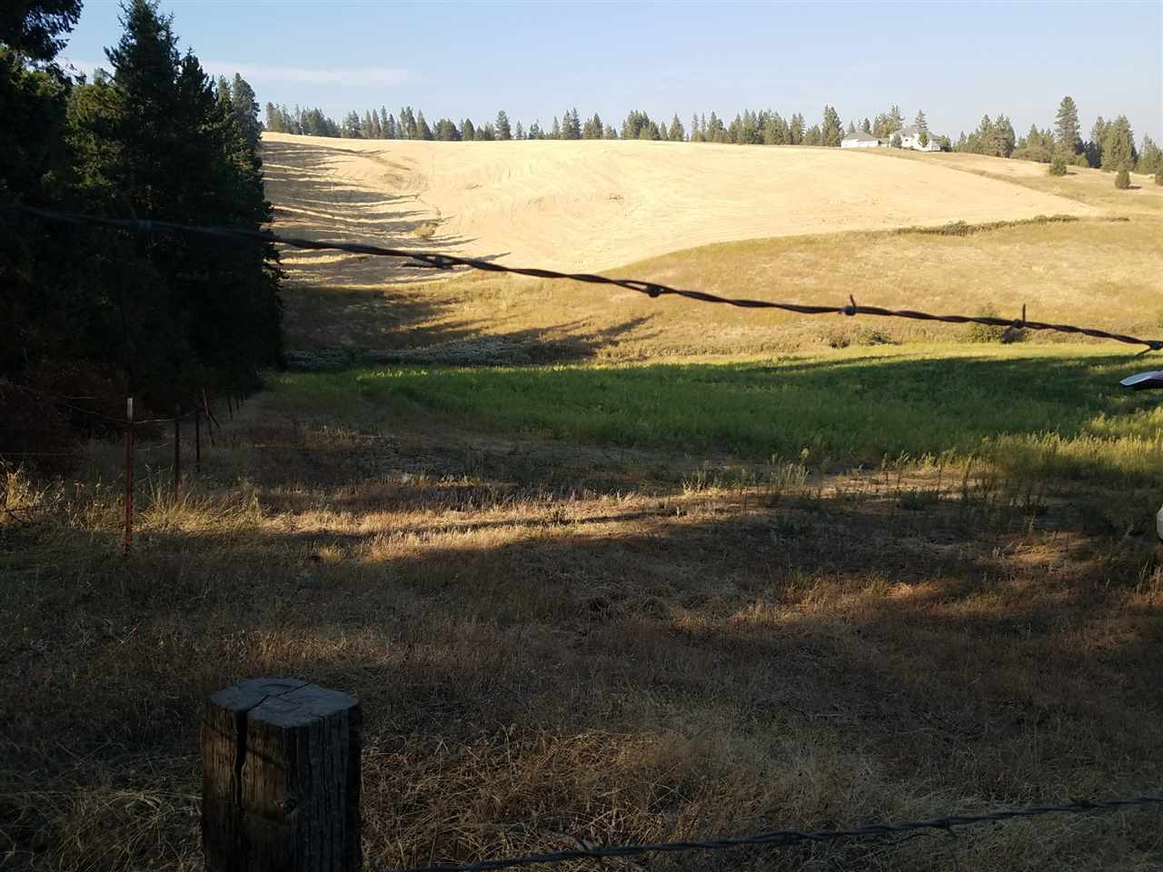 42-xx West Ballard Road Spokane, WA 99208 - Photo 13 of 17