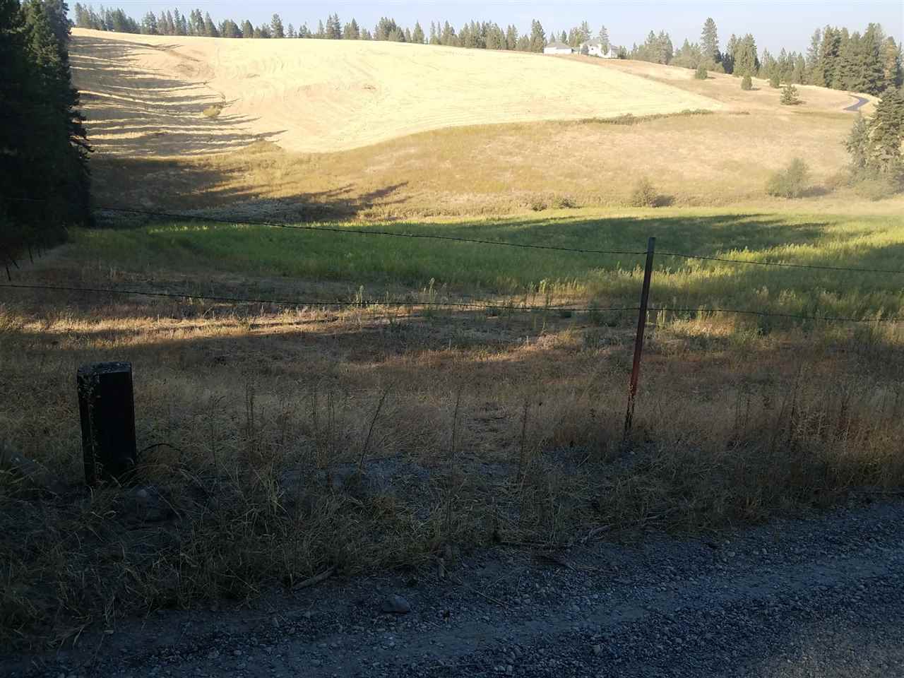 42-xx West Ballard Road Spokane, WA 99208 - Photo 3 of 17