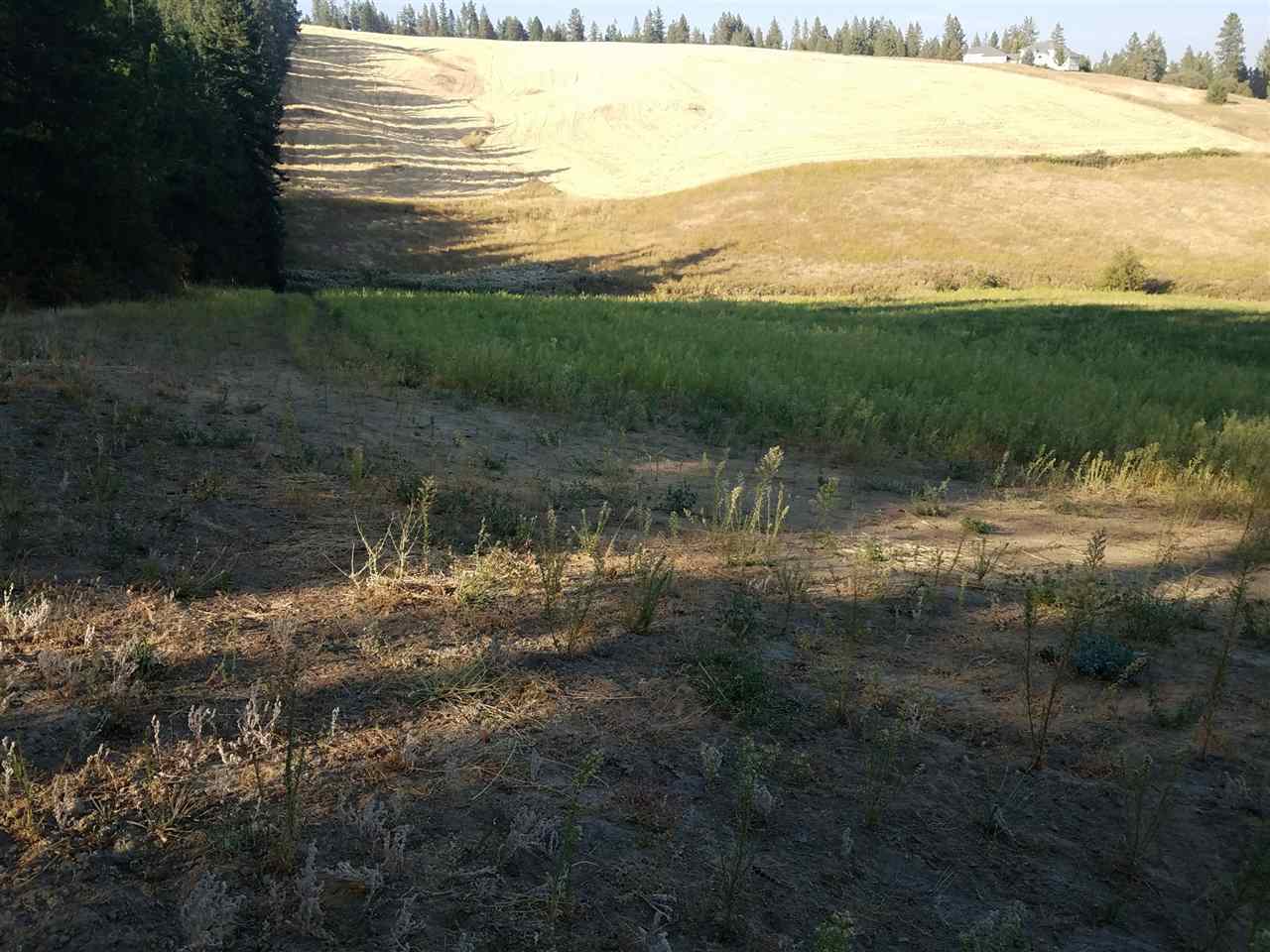 42-xx West Ballard Road Spokane, WA 99208 - Photo 4 of 17