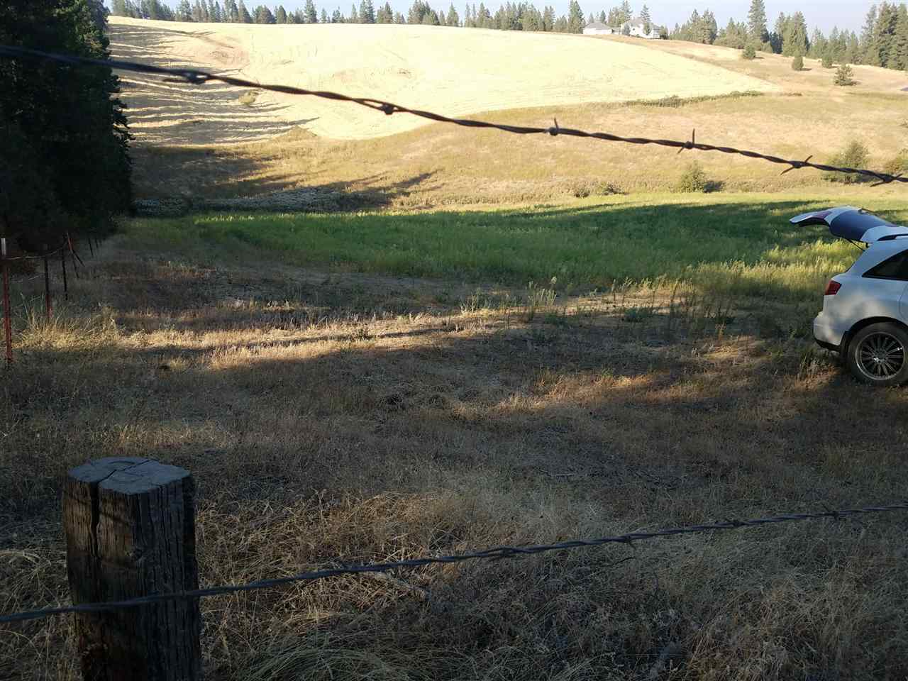 42-xx West Ballard Road Spokane, WA 99208 - Photo 6 of 17
