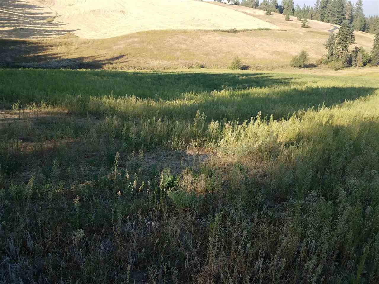 42-xx West Ballard Road Spokane, WA 99208 - Photo 7 of 17