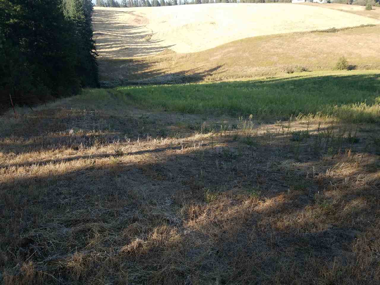 42-xx West Ballard Road Spokane, WA 99208 - Photo 10 of 17