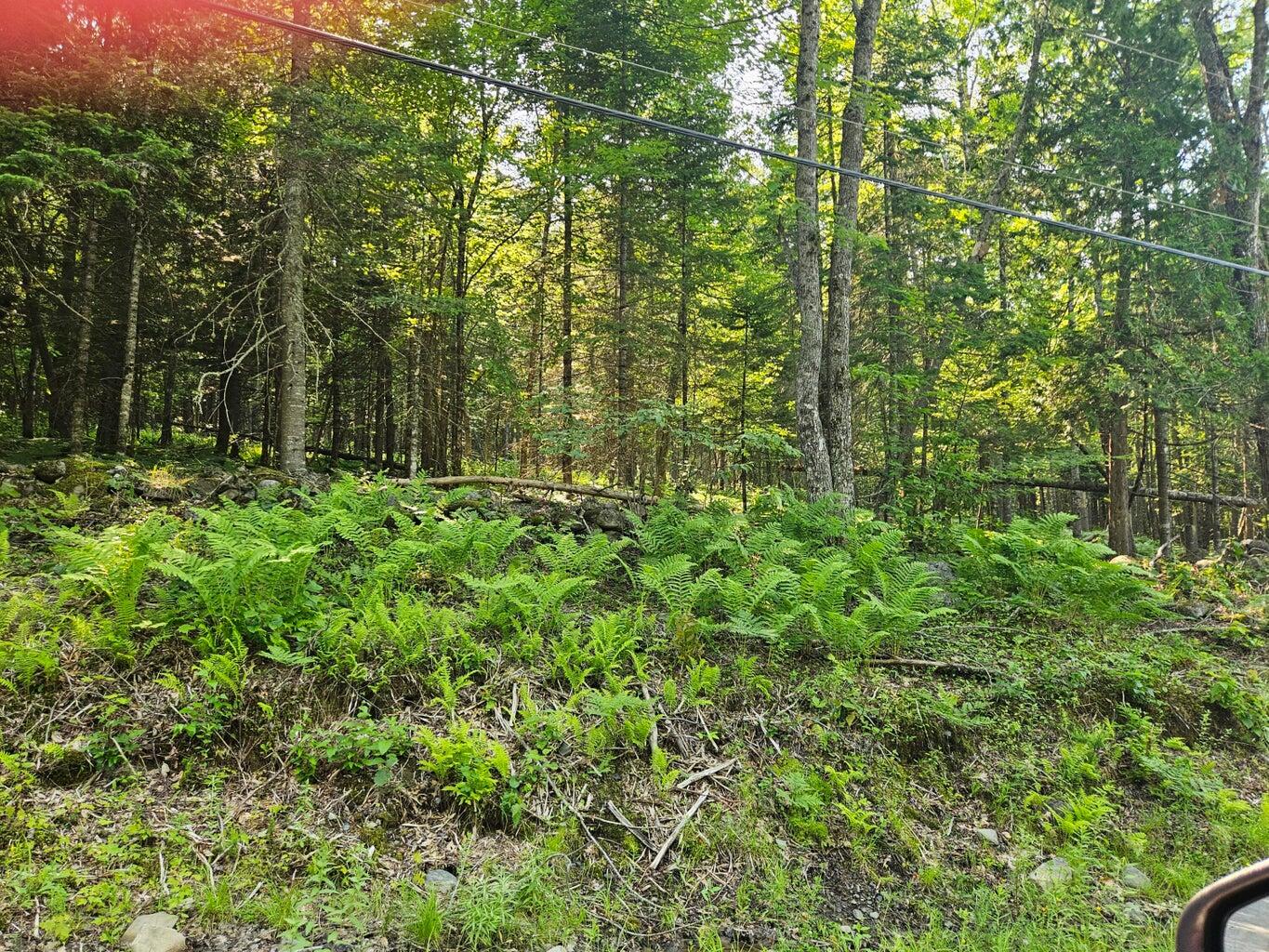 Lot 2 Rips Road Brownville, ME 04414 - Photo 2 of 3 20260702103548449564000000-o