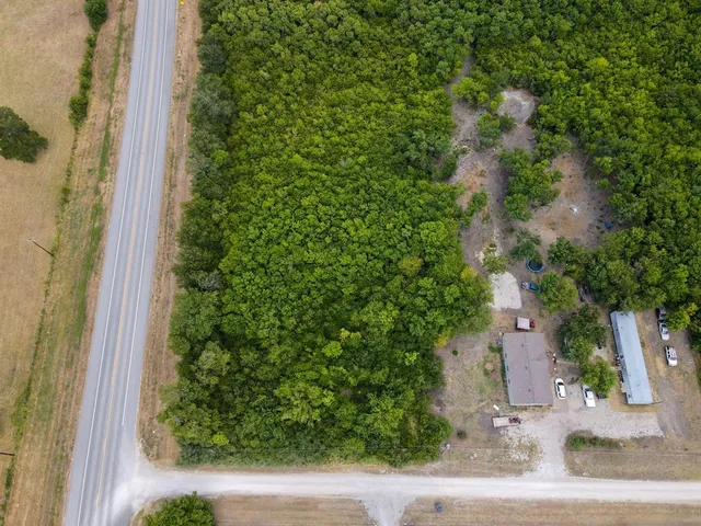 an aerial view of a house with plants