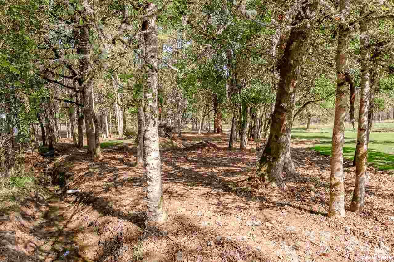 2595 Northwest Gibson Hill Road Albany, OR 97321 - Photo 40 of 41
