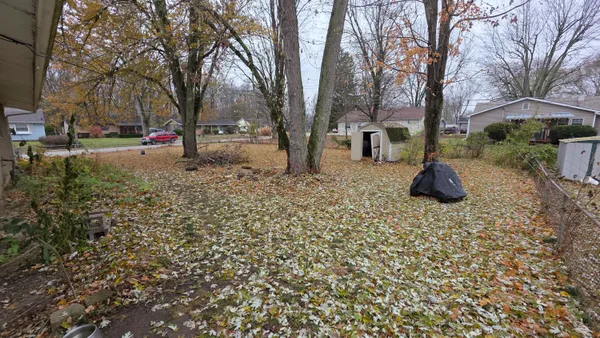 a ground with lots of trees