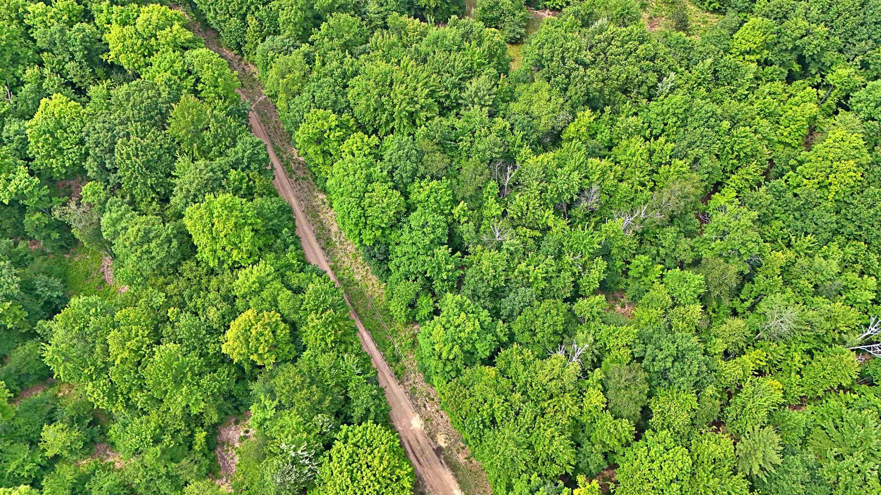 Vl 00 Cherry Hill Road Fife Lake, MI 49633 - Photo 8 of 26