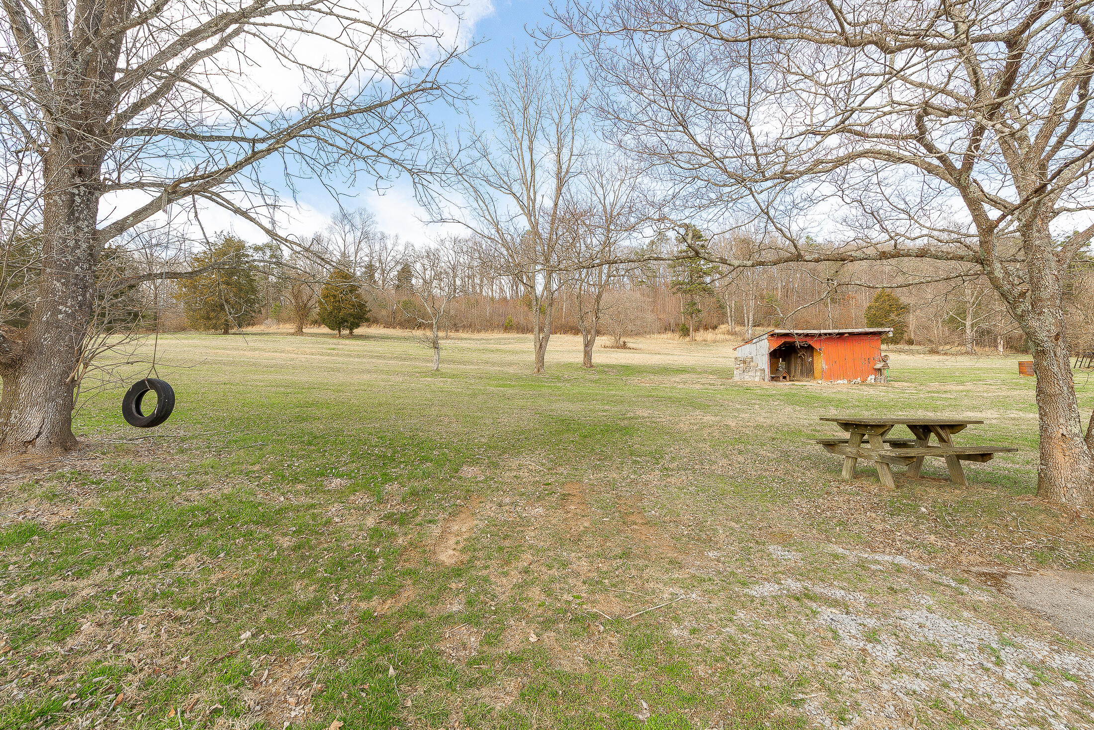 6527 Carters Valley Road Church Hill, TN 37642 - Photo 15 of 24 Backyard