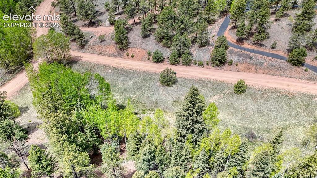 42 Rabbit Circle Florissant, CO 80816 - Photo 10 of 20 an aerial view of a houses with yard