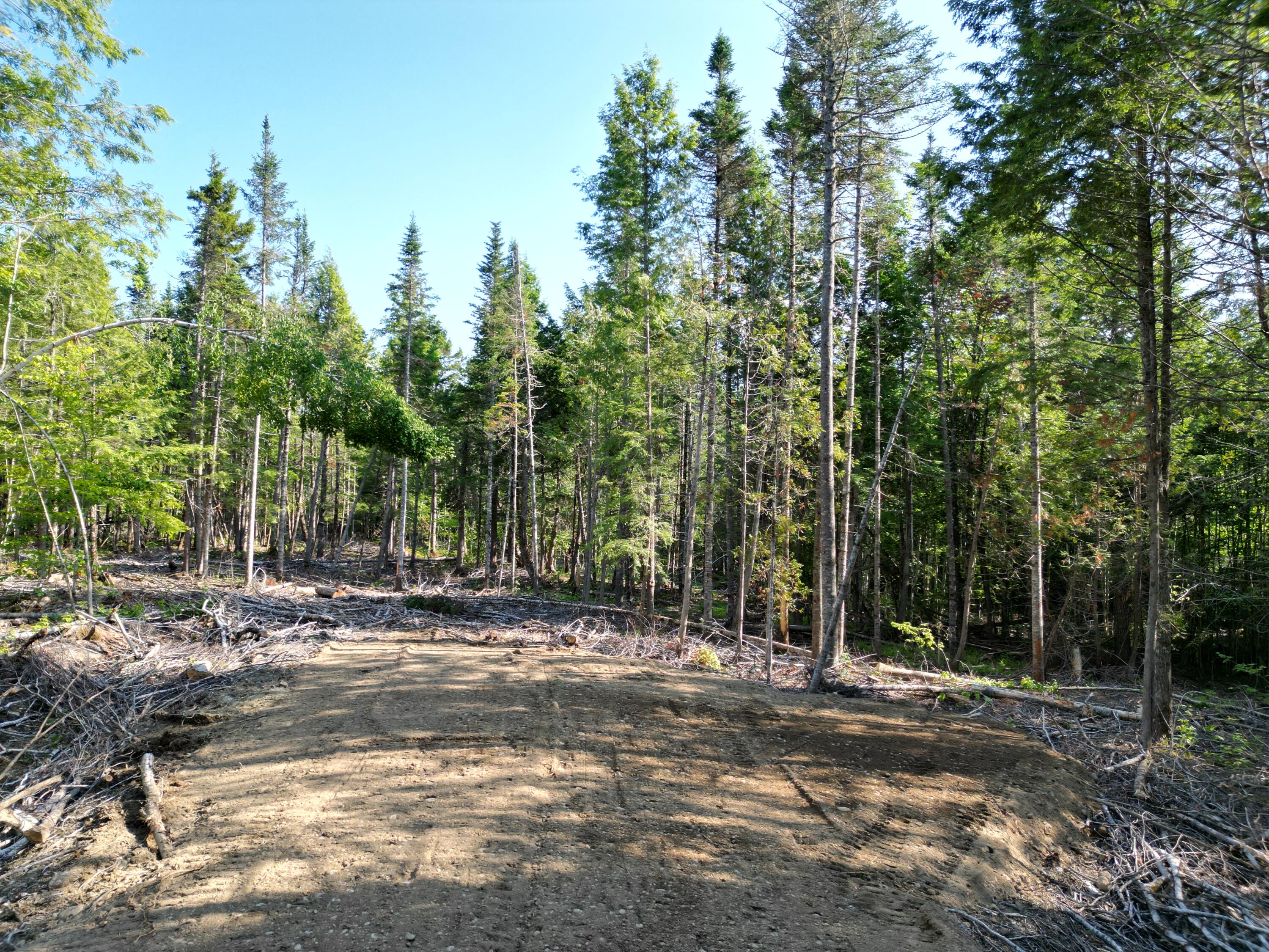 Lot 1-2 Off Clear Cut Lodge Road Springfield, ME 04487 - Photo 12 of 15 DJI_0997