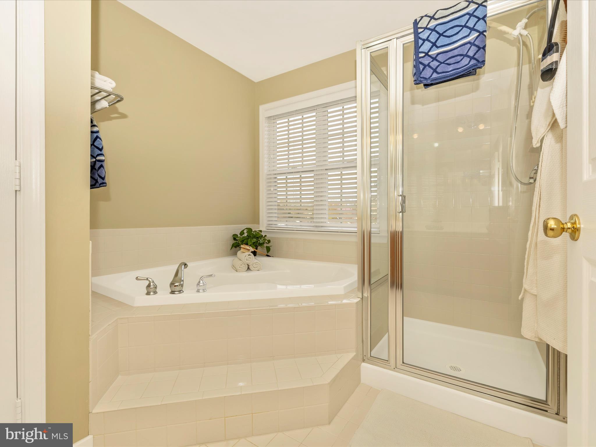 2620 Mill Race Road Frederick, MD 21701 - Photo 27 of 72 Primary Bathroom