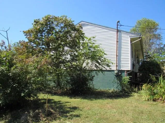 a view of a backyard