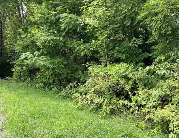 a view of a backyard of the house