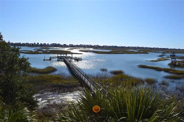427 Vereen Road Murrells Inlet, SC 29576 - Photo 10 of 15 Gallery Image 10