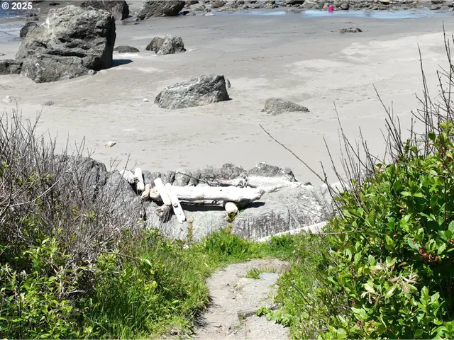 a view of a backyard of a house with a table and chairs