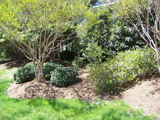 8701 Chatterleigh Circle Raleigh, NC 27615 - Photo 11 of 12 Other