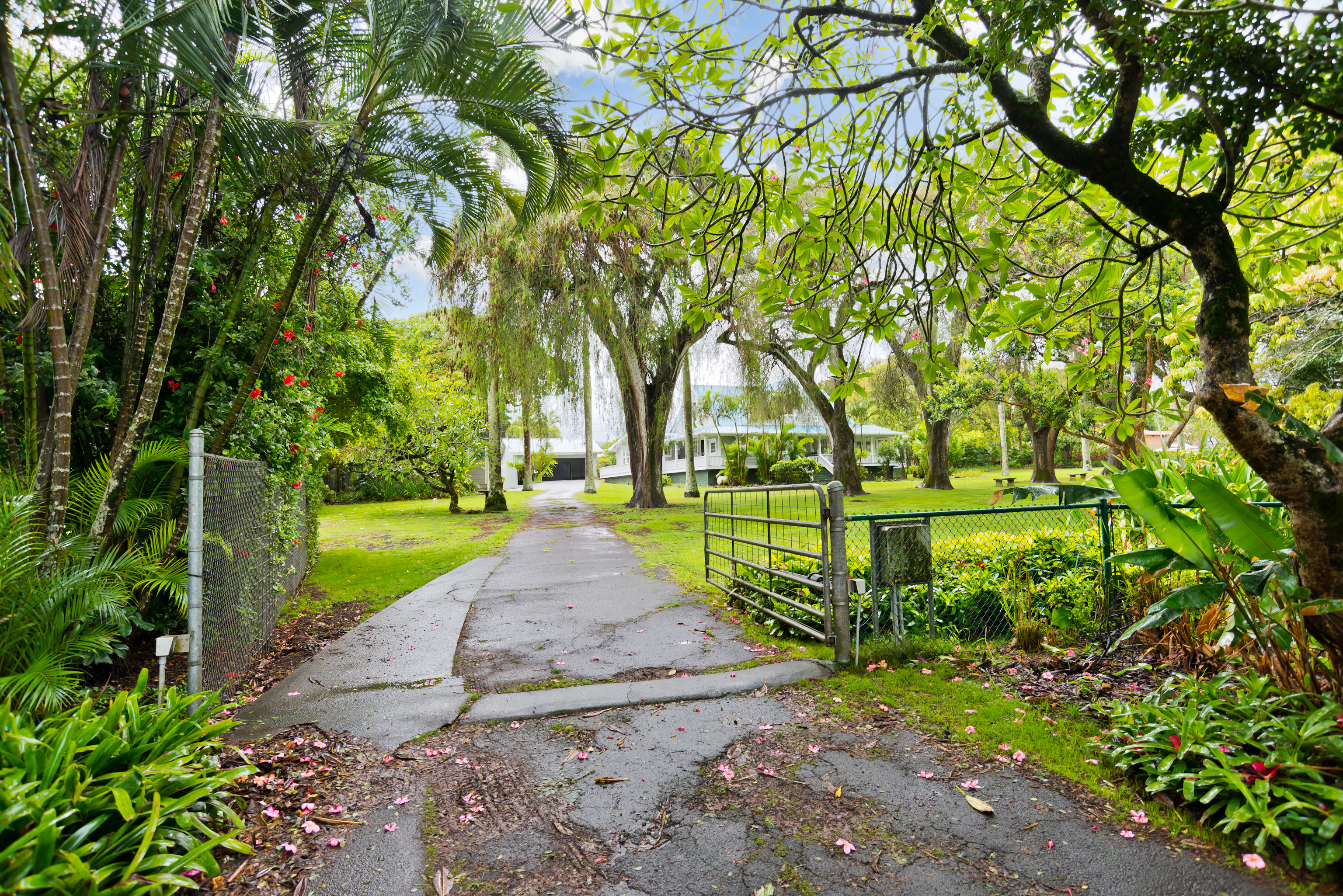 54-333 Union Mill Road Kapaau, HI 96755 - Photo 29 of 30 a view of a park with large trees