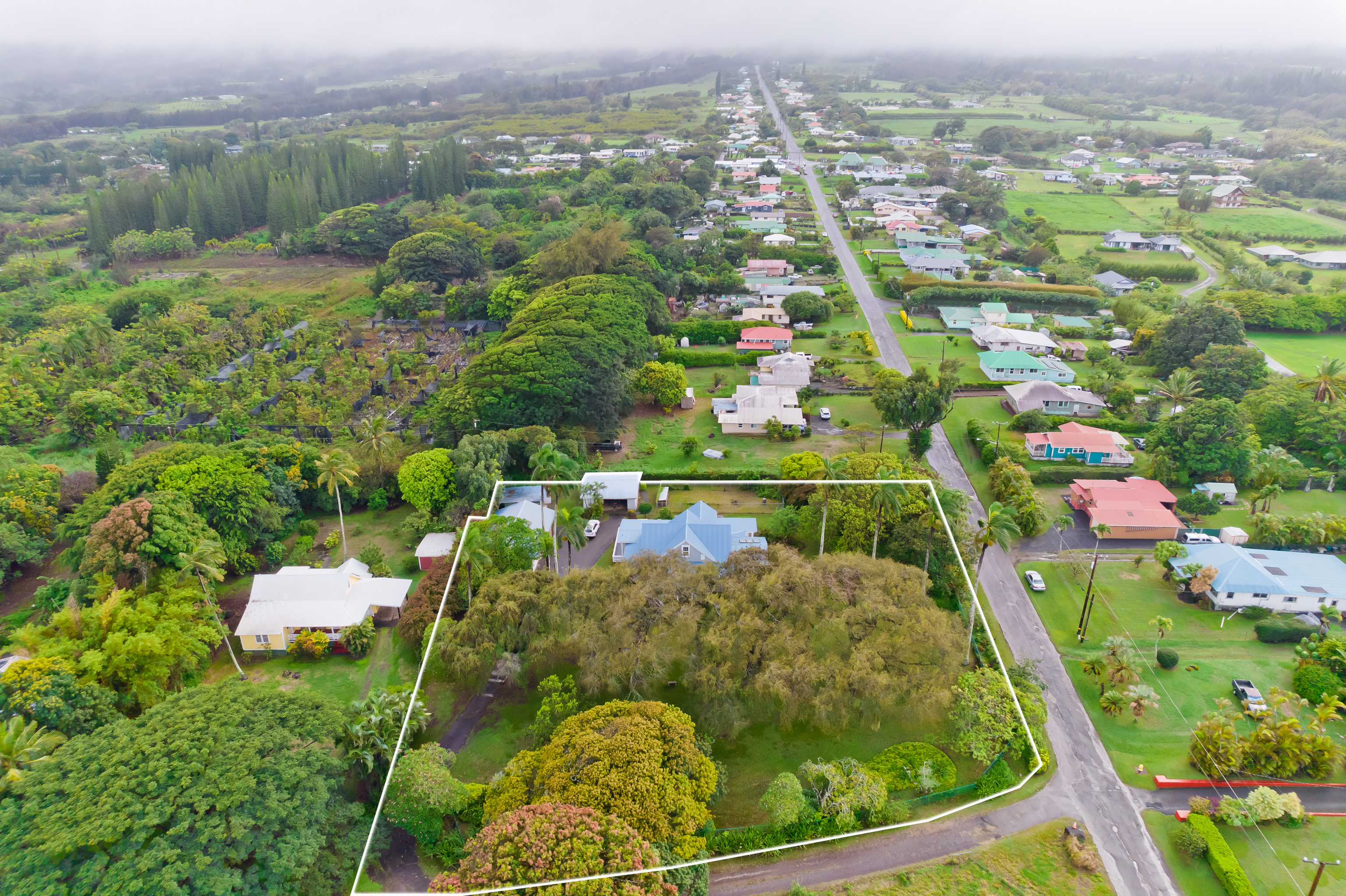 54-333 Union Mill Road Kapaau, HI 96755 - Photo 6 of 30 view of a city