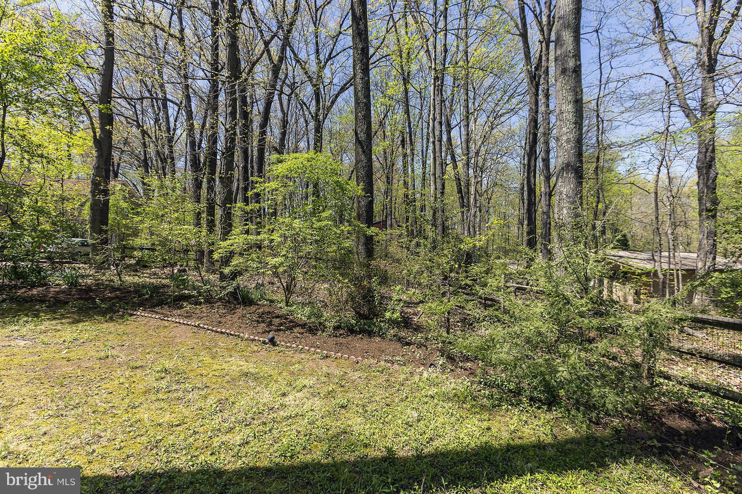 12200 Hounds Lane Reston, VA 20191 - Photo 12 of 13 Exterior (Rear)