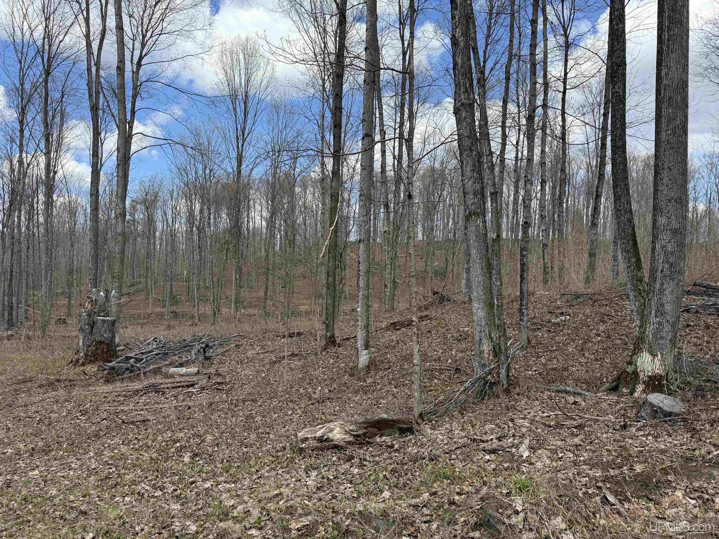 Tbdne Dog Patch Road Lanse, MI 49946 - Photo 16 of 23