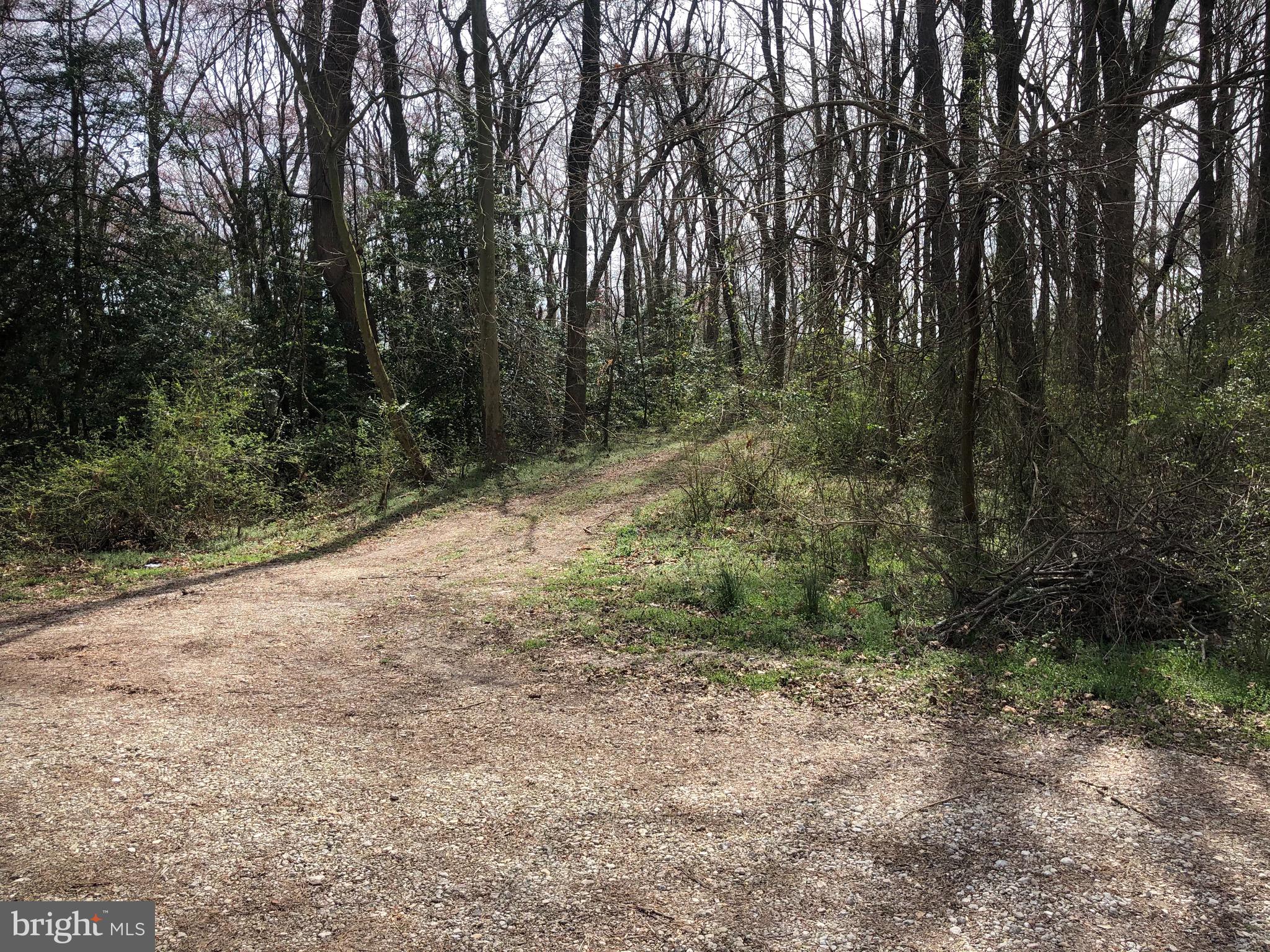 Sailors Path Bethel, DE 19931 - Photo 3 of 5