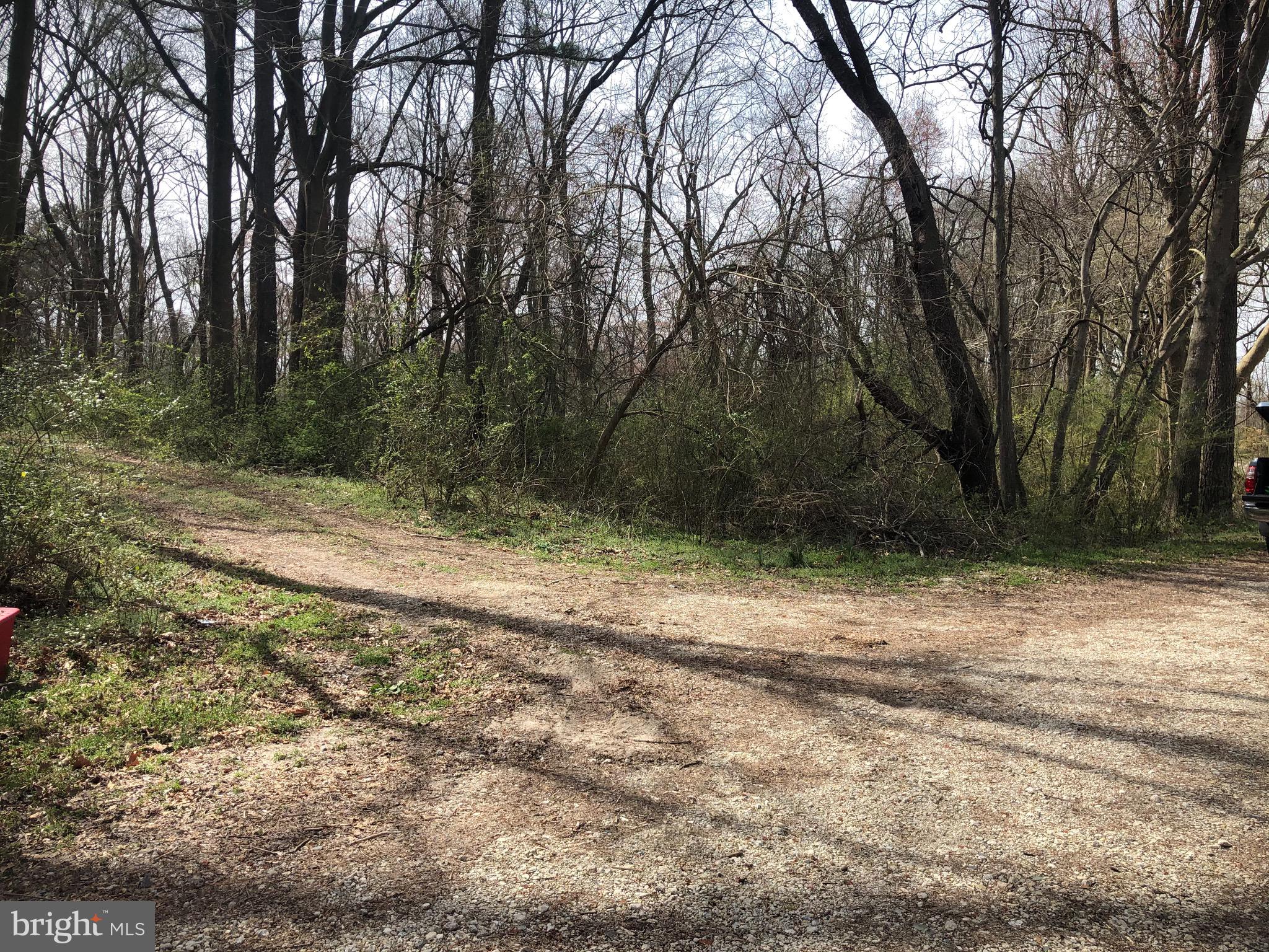 Sailors Path Bethel, DE 19931 - Photo 4 of 5