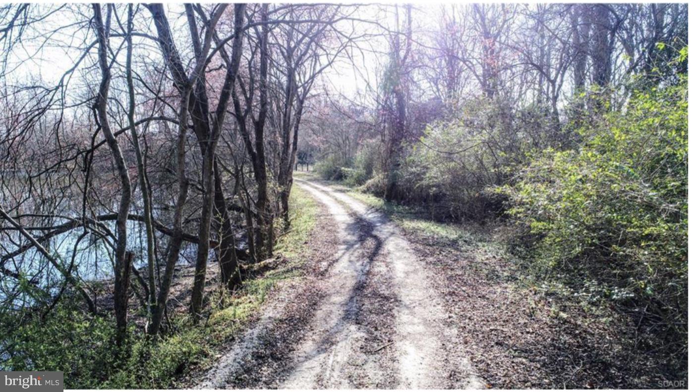 Sailors Path Bethel, DE 19931 - Photo 5 of 5