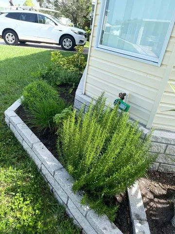 a view of front view of a house