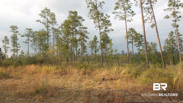 0 Lewis Road Titusville, FL 32796 - Photo 1 of 12 Gallery Image 1
