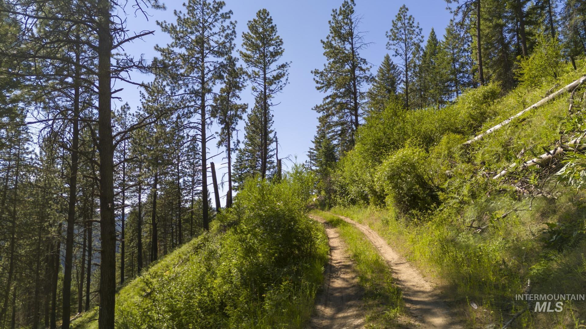 0 Forest Garden Lane Weippe, ID 83553 - Photo 17 of 24