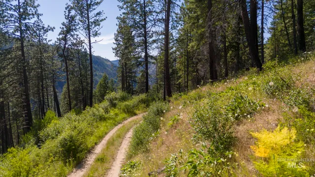 $159,900 | 0 Forest Garden Lane, Weippe, ID 83553