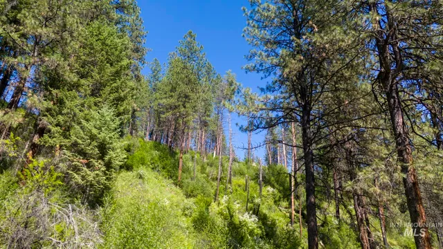 $159,900 | 0 Forest Garden Lane, Weippe, ID 83553