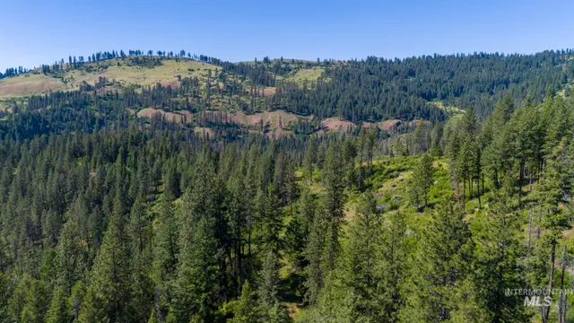 $159,900 | 0 Forest Garden Lane, Weippe, ID 83553