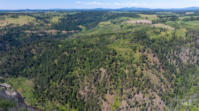 $159,900 | 0 Forest Garden Lane, Weippe, ID 83553