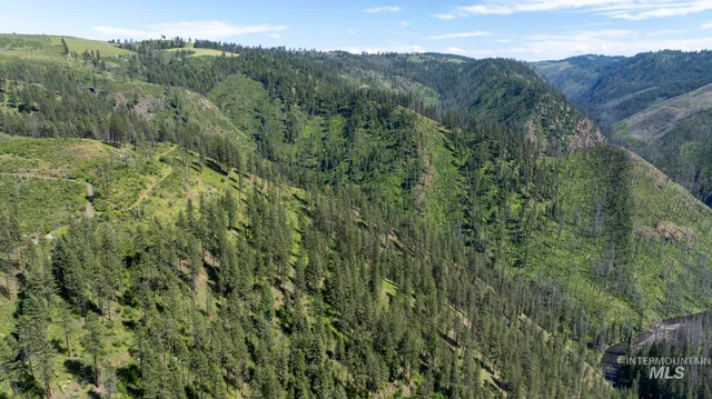 $159,900 | 0 Forest Garden Lane, Weippe, ID 83553