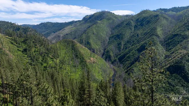 $159,900 | 0 Forest Garden Lane, Weippe, ID 83553