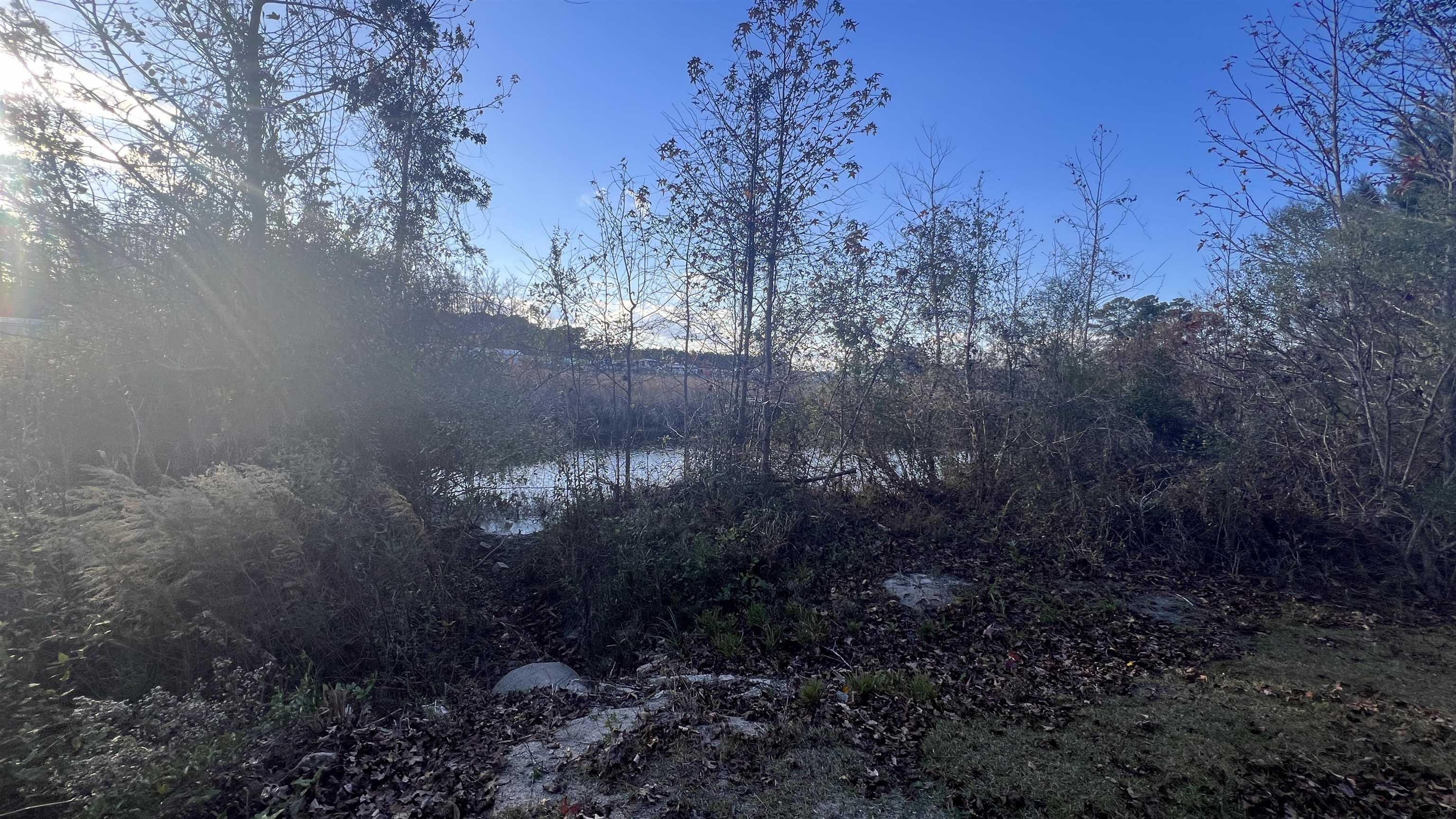 90 Highway 90 Longs, SC 29568 - Photo 11 of 15