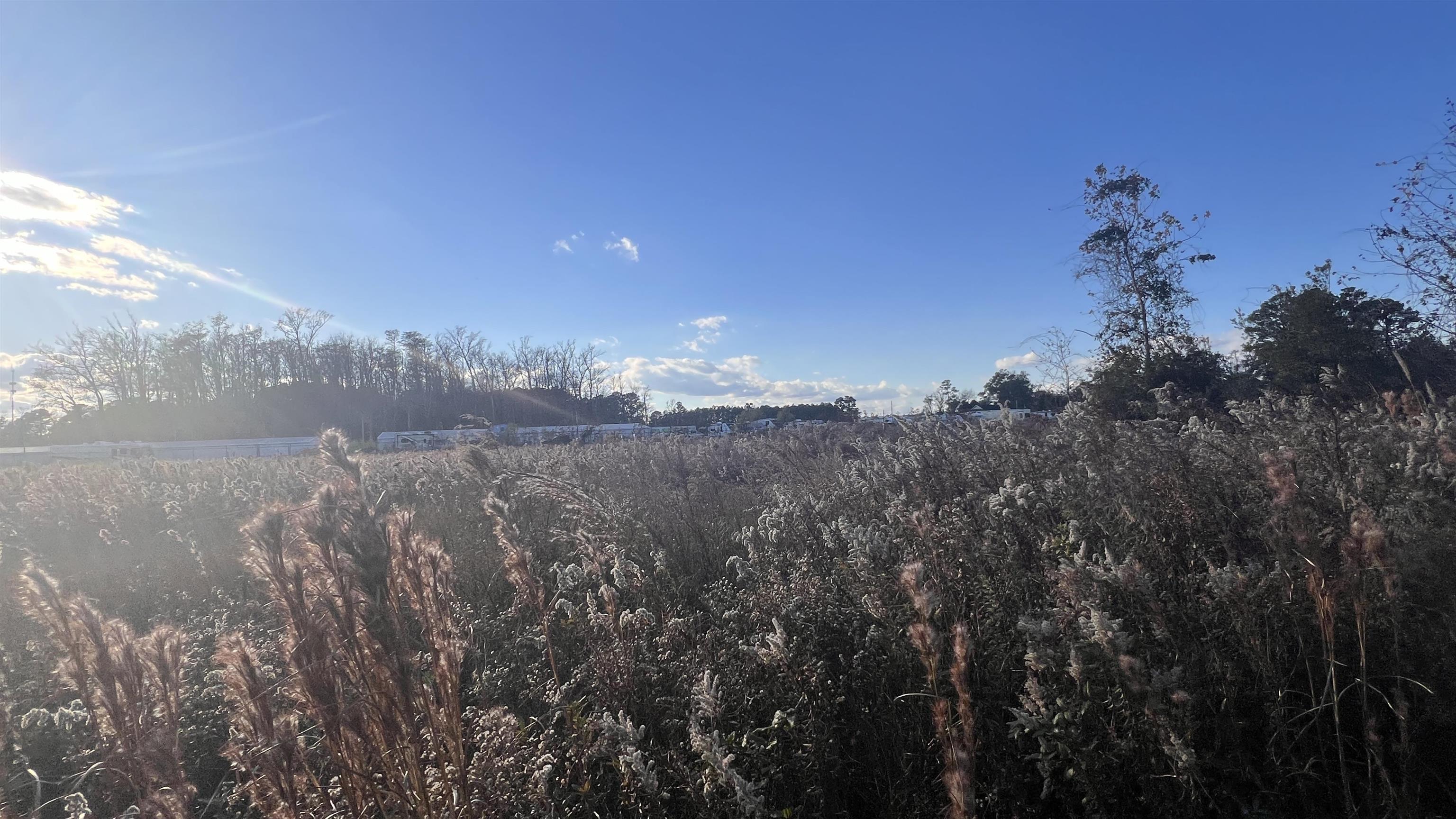 90 Highway 90 Longs, SC 29568 - Photo 12 of 15