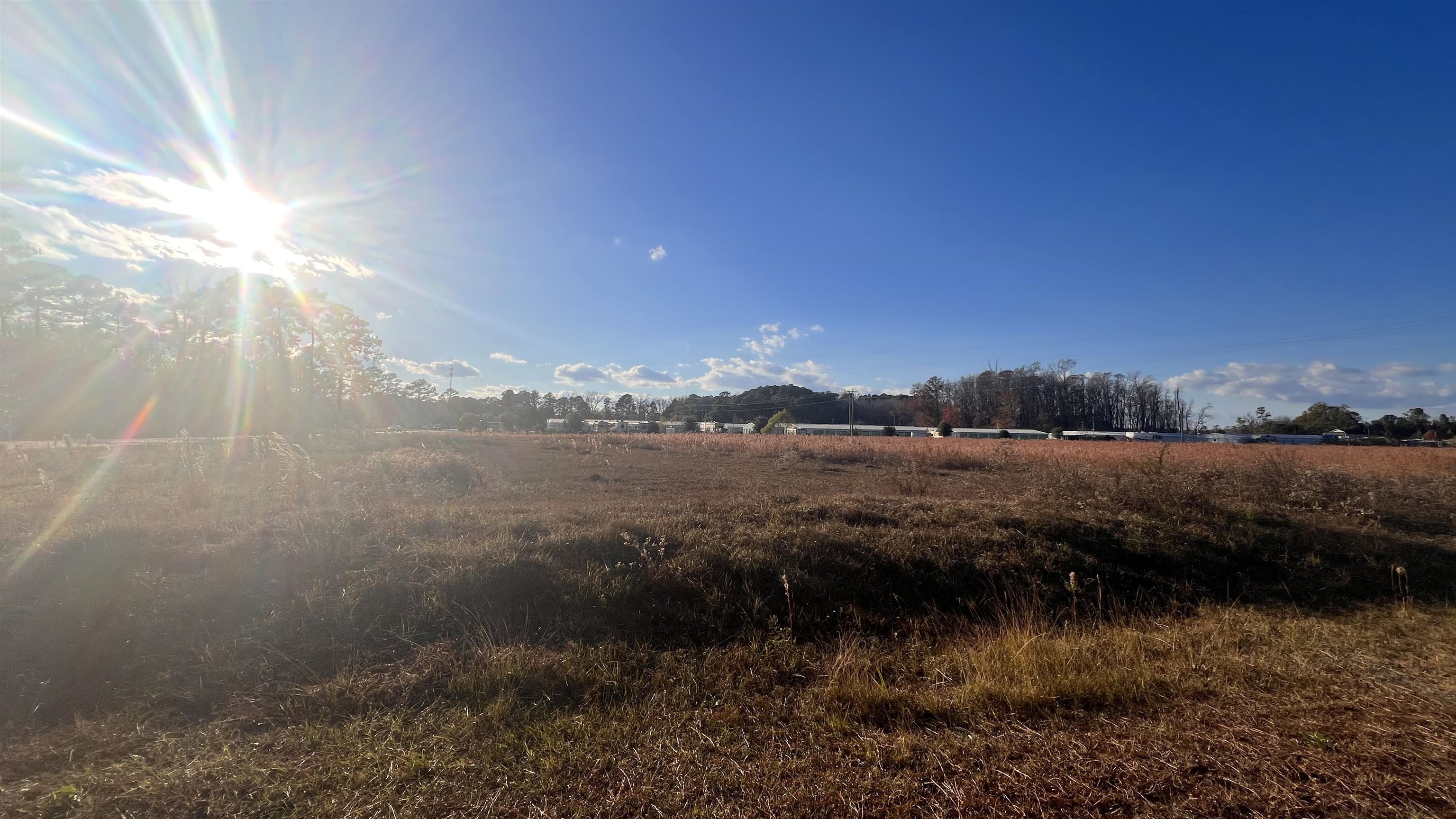 90 Highway 90 Longs, SC 29568 - Photo 3 of 15