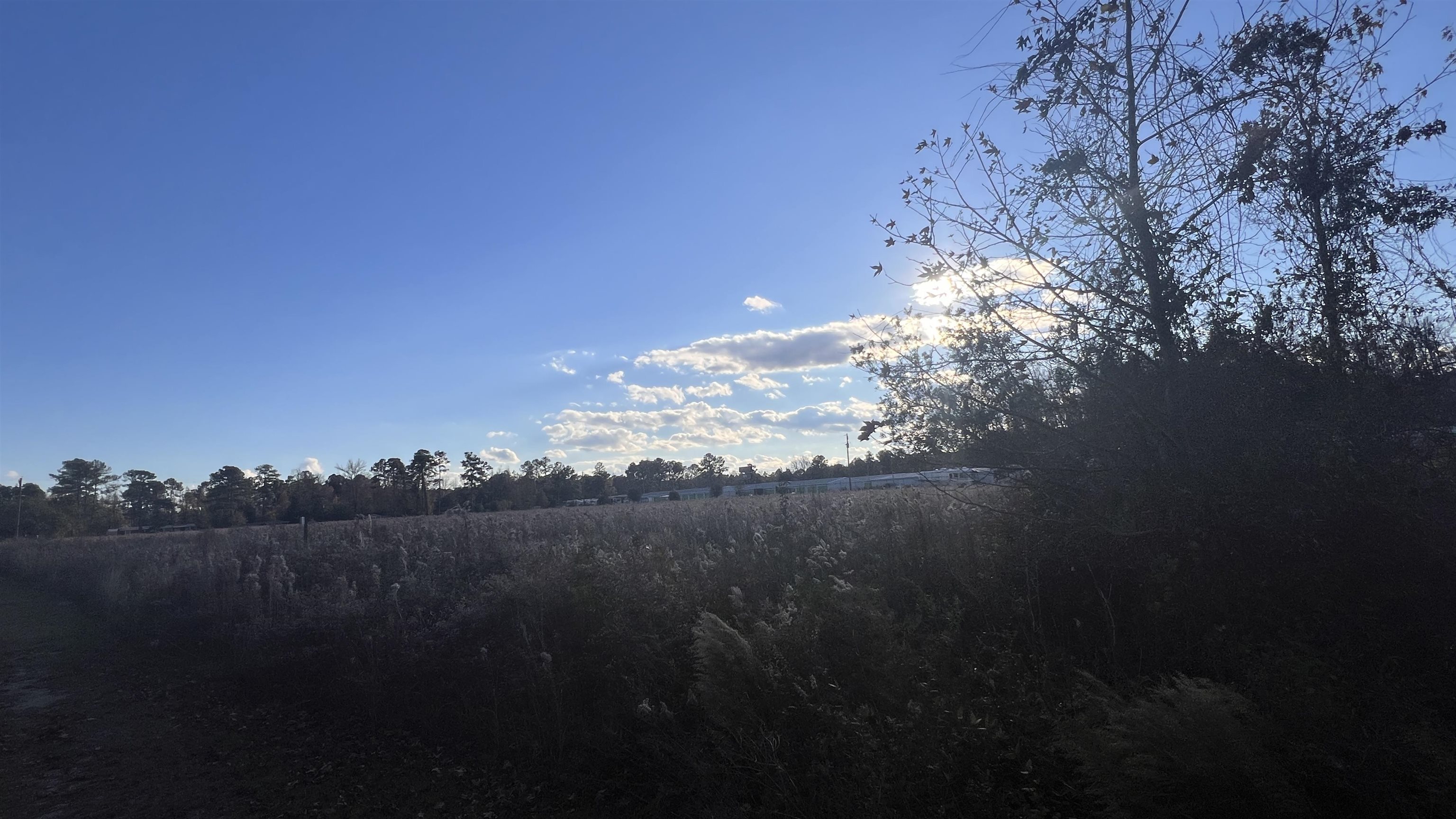 90 Highway 90 Longs, SC 29568 - Photo 4 of 15