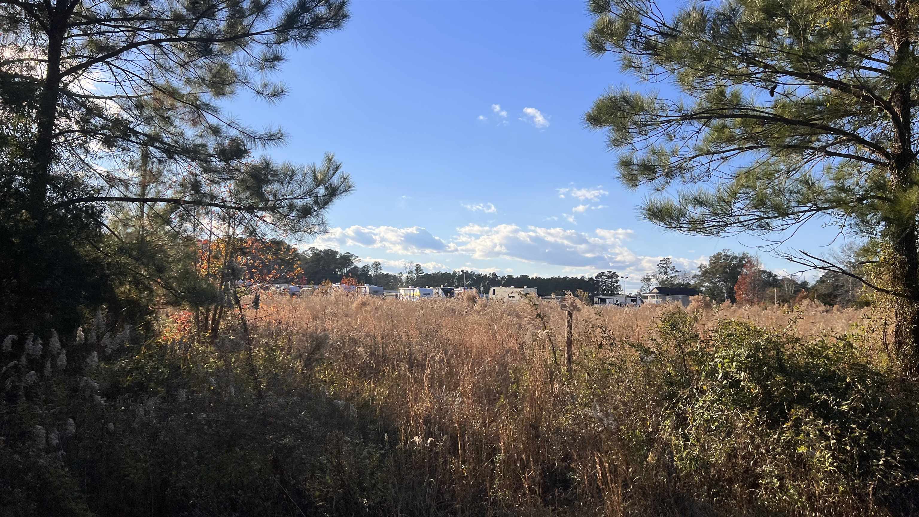 90 Highway 90 Longs, SC 29568 - Photo 5 of 15