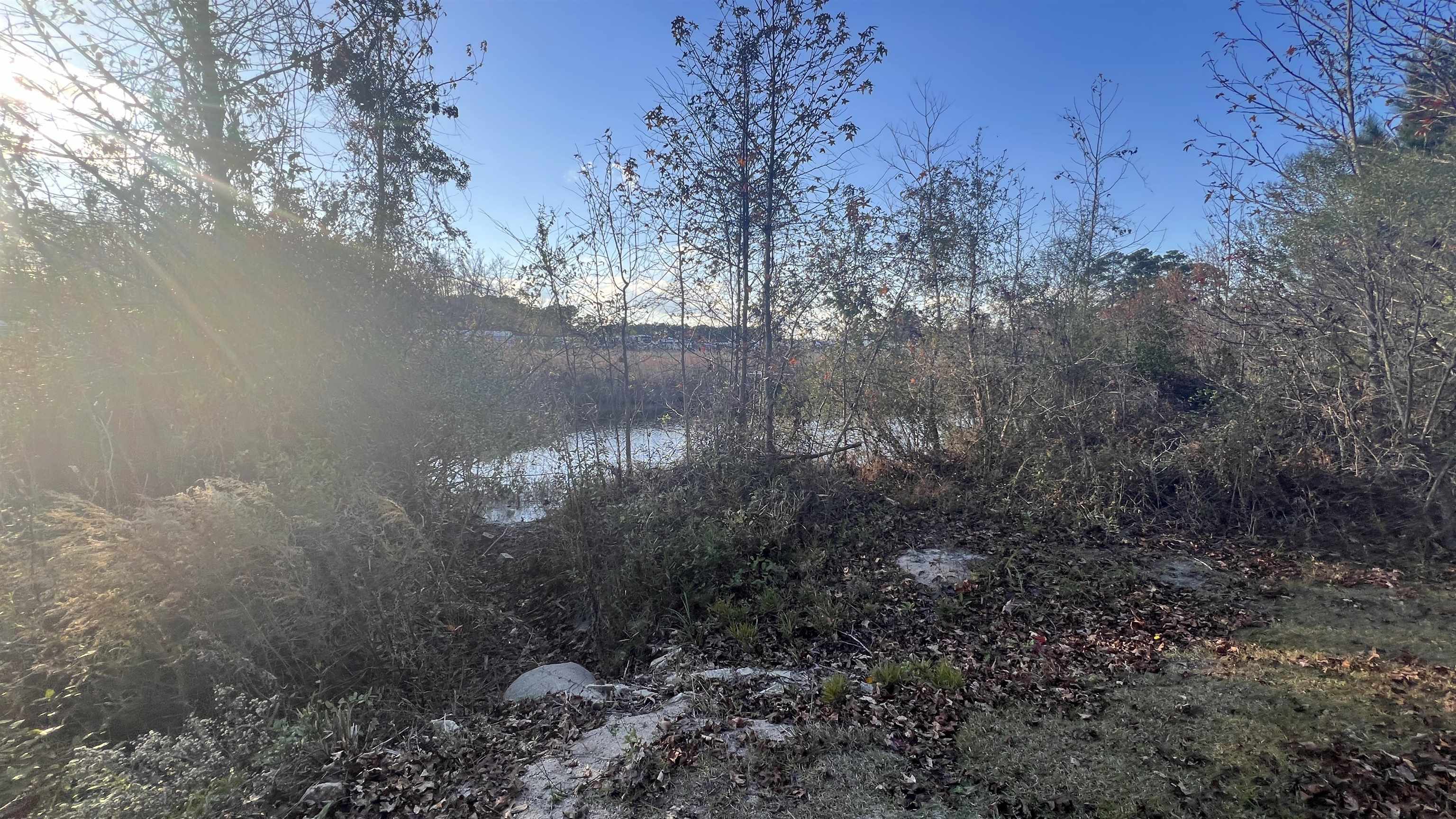 90 Highway 90 Longs, SC 29568 - Photo 10 of 15